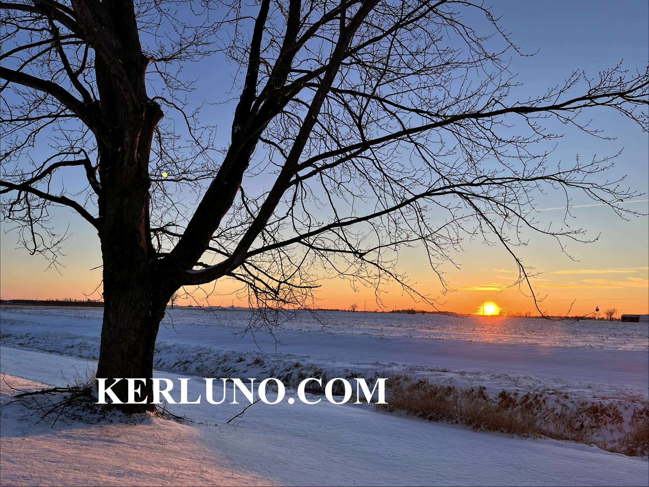 Sunset over a snowy field, with a leafless tree in the front left.